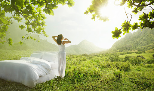 SleepWell Circadian Research Visual